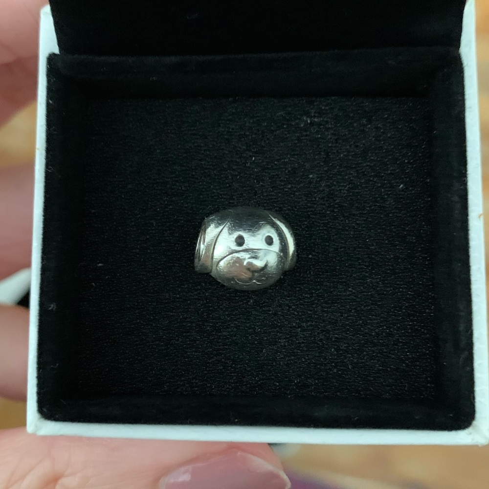 Pandora Puppy / Dog Charm